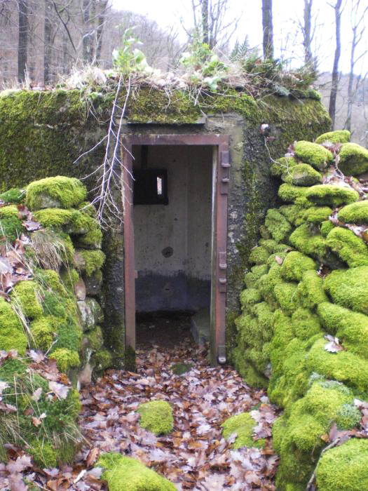 Ligne Maginot - FM39 - DIEBSKOPF 1 - (Blockhaus pour arme infanterie) - L'entrée en partie protégée par le rocaillage - donceuh