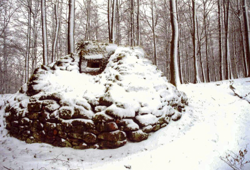 Ligne Maginot - FM39 - DIEBSKOPF 1 - (Blockhaus pour arme infanterie) - Le créneau latéral droit protégé par le rocaillage - Antoine SCHOEN