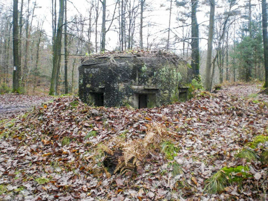 Ligne Maginot - FM38 - DIEBSKOPF 2 - (Blockhaus pour arme infanterie) - Vue de face - donceuh
