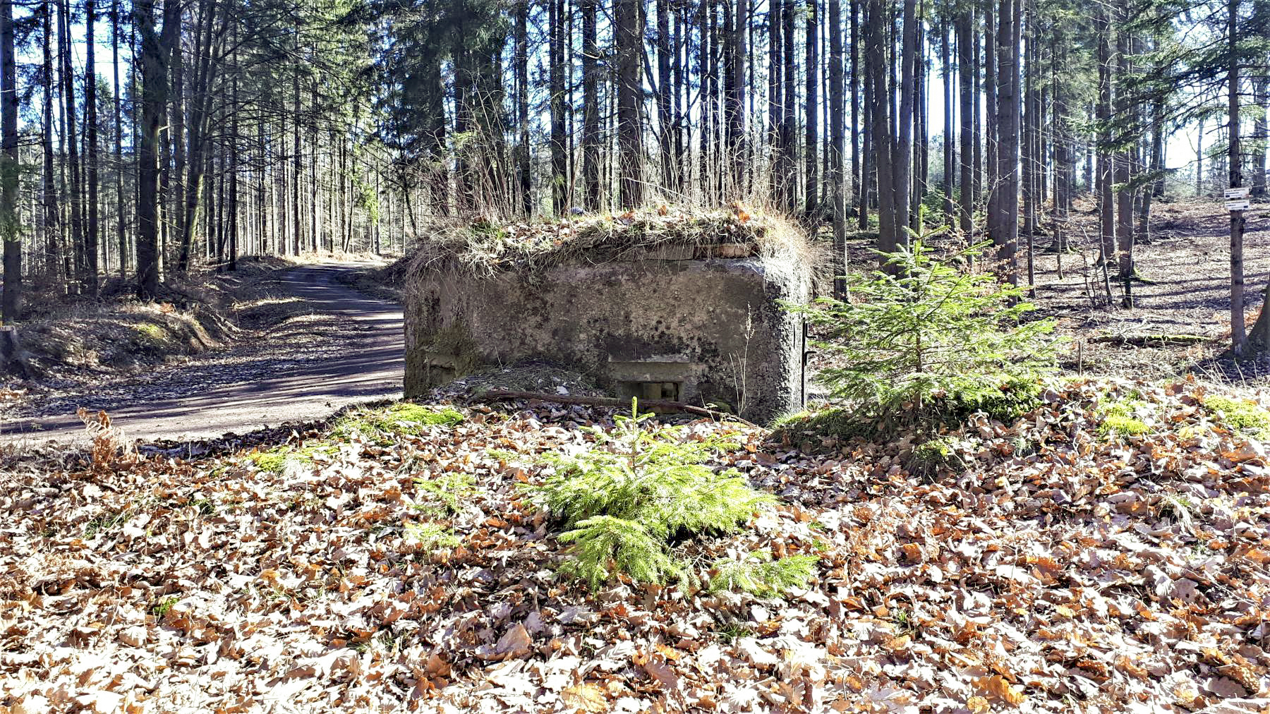 Ligne Maginot - FM38 - DIEBSKOPF 2 - (Blockhaus pour arme infanterie) - Vue coté gauche - Gregory Fuchs