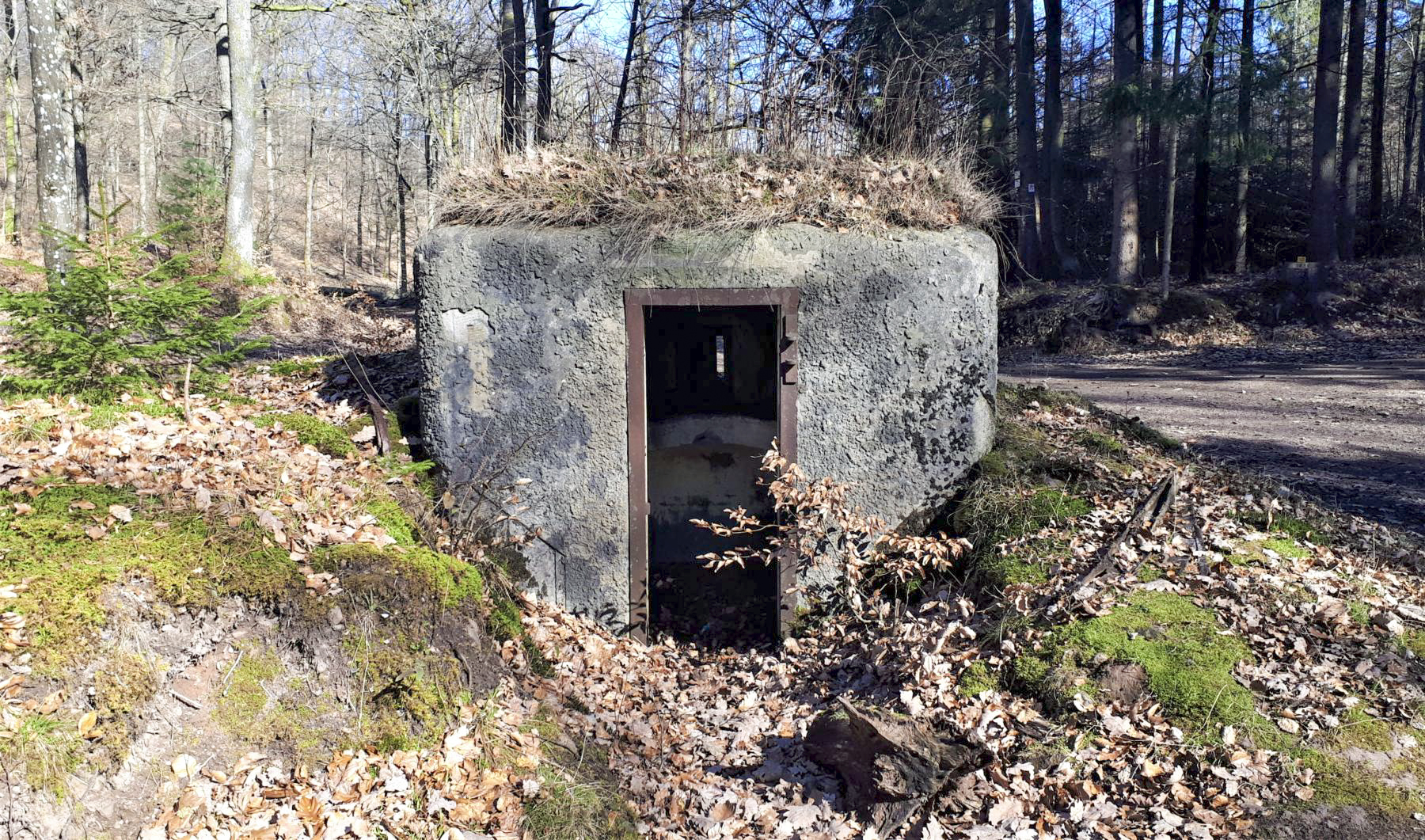 Ligne Maginot - FM38 - DIEBSKOPF 2 - (Blockhaus pour arme infanterie) - Entrée - Gregory Fuchs