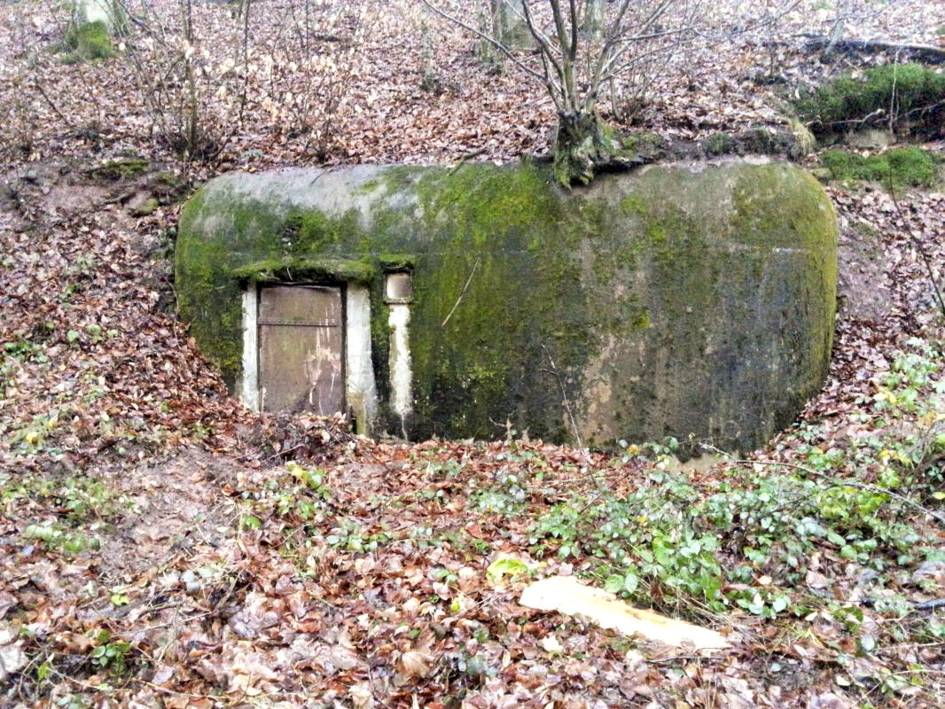 Ligne Maginot - E1 - (Chambre de coupure) - Entrée - B.HENRICH