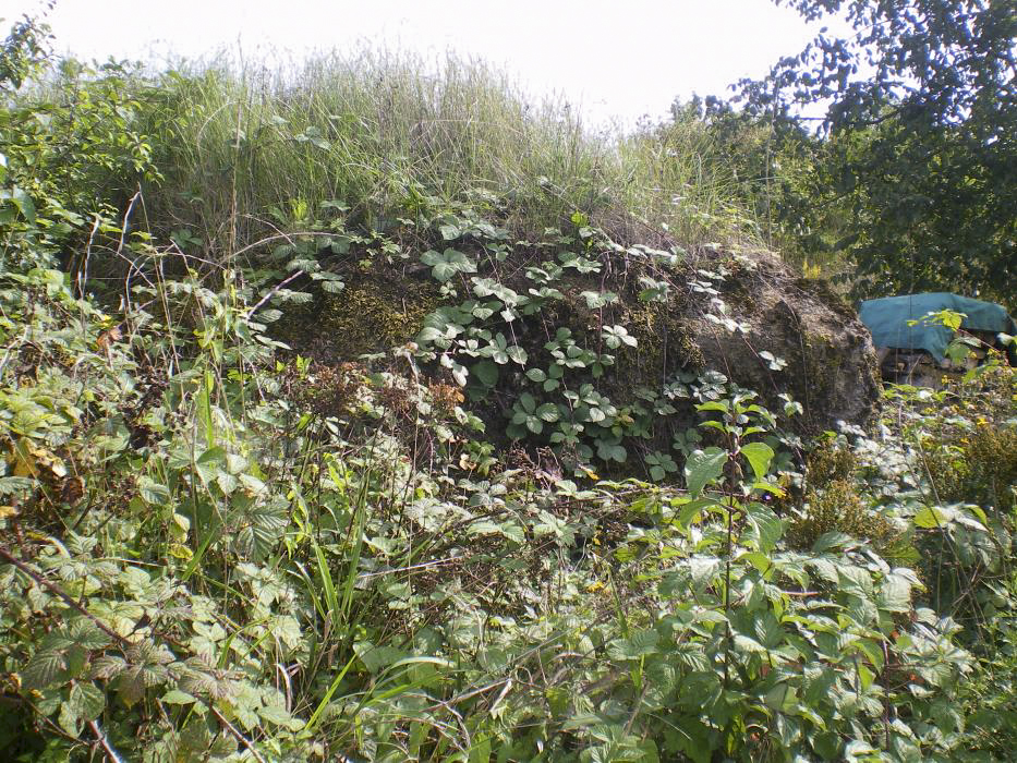 Ligne Maginot - M4 - EICHHOLTZ 1 - (Blockhaus pour arme infanterie) -  - donceuh