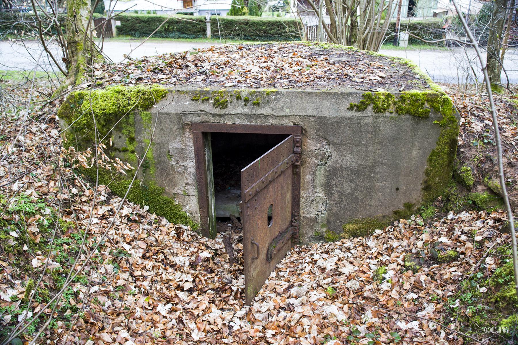 Ligne Maginot - M25 - FINSTERTHAL 2 - (Blockhaus pour arme infanterie) -  - Lia VERMEULEN