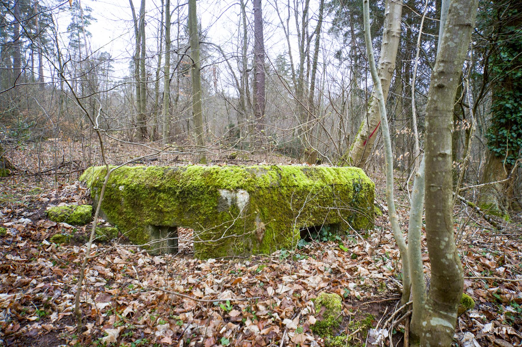 Ligne Maginot - M25 - FINSTERTHAL 2 - (Blockhaus pour arme infanterie) -  - Lia VERMEULEN