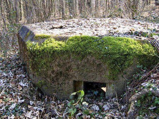 Ligne Maginot - M25 - FINSTERTHAL 2 - (Blockhaus pour arme infanterie) -  - AALMA