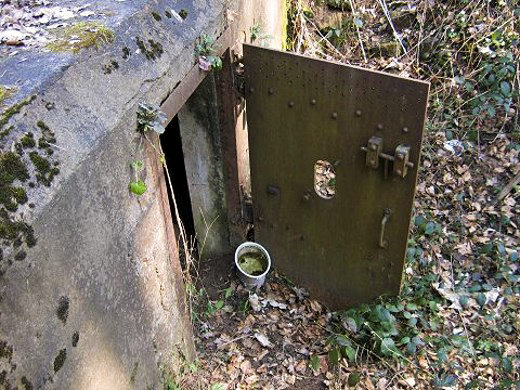 Ligne Maginot - M25 - FINSTERTHAL 2 - (Blockhaus pour arme infanterie) -  - AALMA