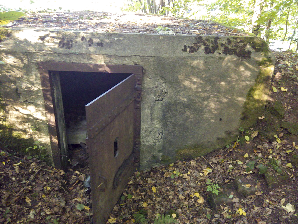 Ligne Maginot - M25 - FINSTERTHAL 2 - (Blockhaus pour arme infanterie) -  - donceuh