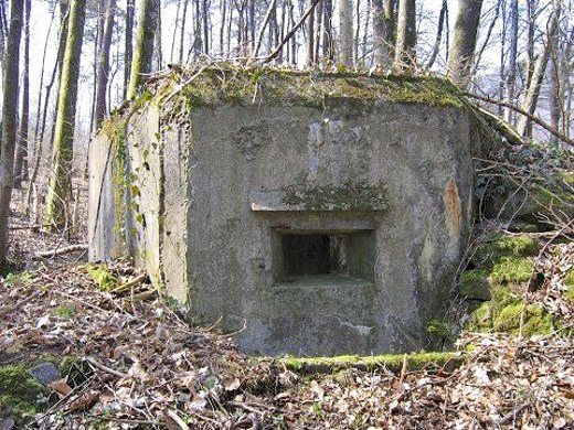 Ligne Maginot - M81 - FINSTERTHAL 3 - (Blockhaus pour arme infanterie) -  - AALMA