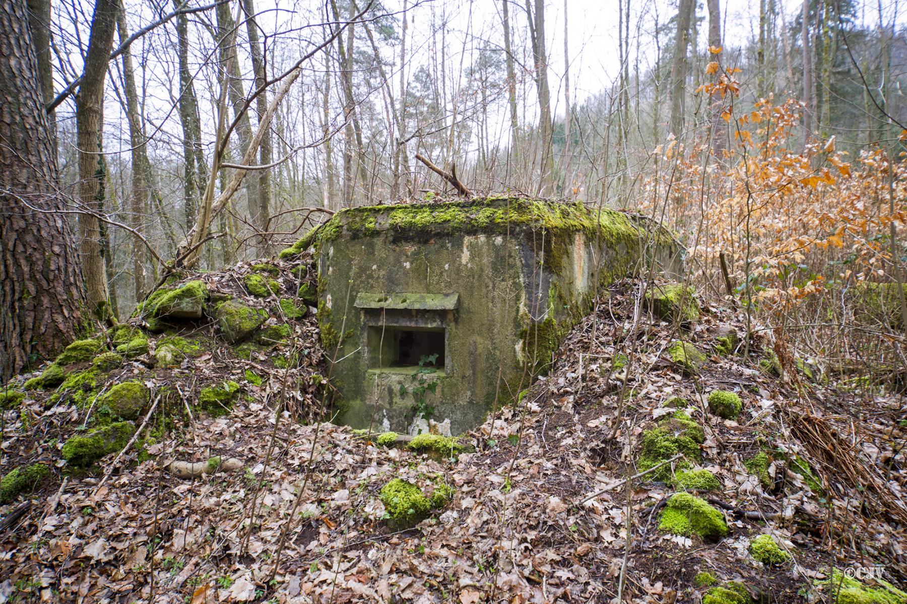 Ligne Maginot - M81 - FINSTERTHAL 3 - (Blockhaus pour arme infanterie) -  - Lia VERMEULEN