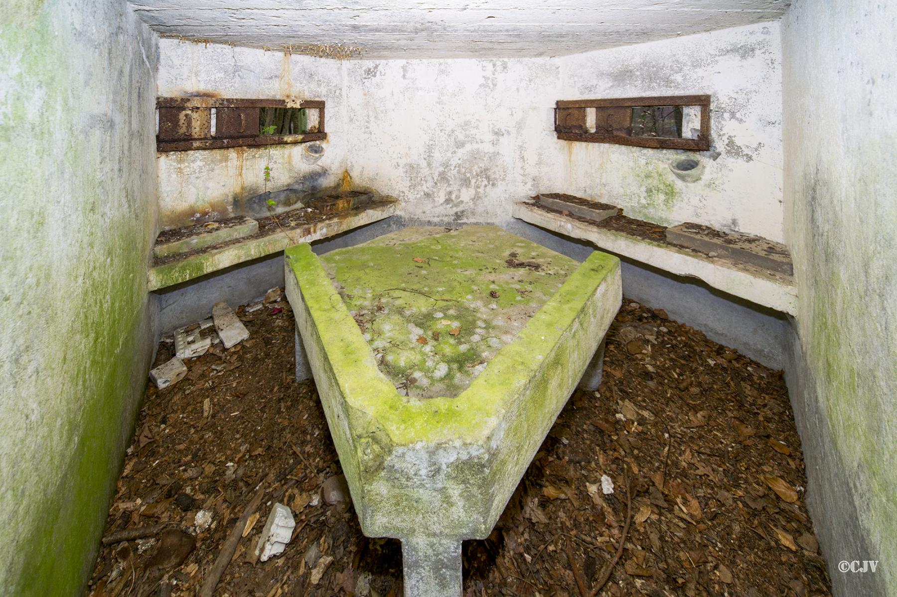 Ligne Maginot - M81 - FINSTERTHAL 3 - (Blockhaus pour arme infanterie) -  - Lia VERMEULEN