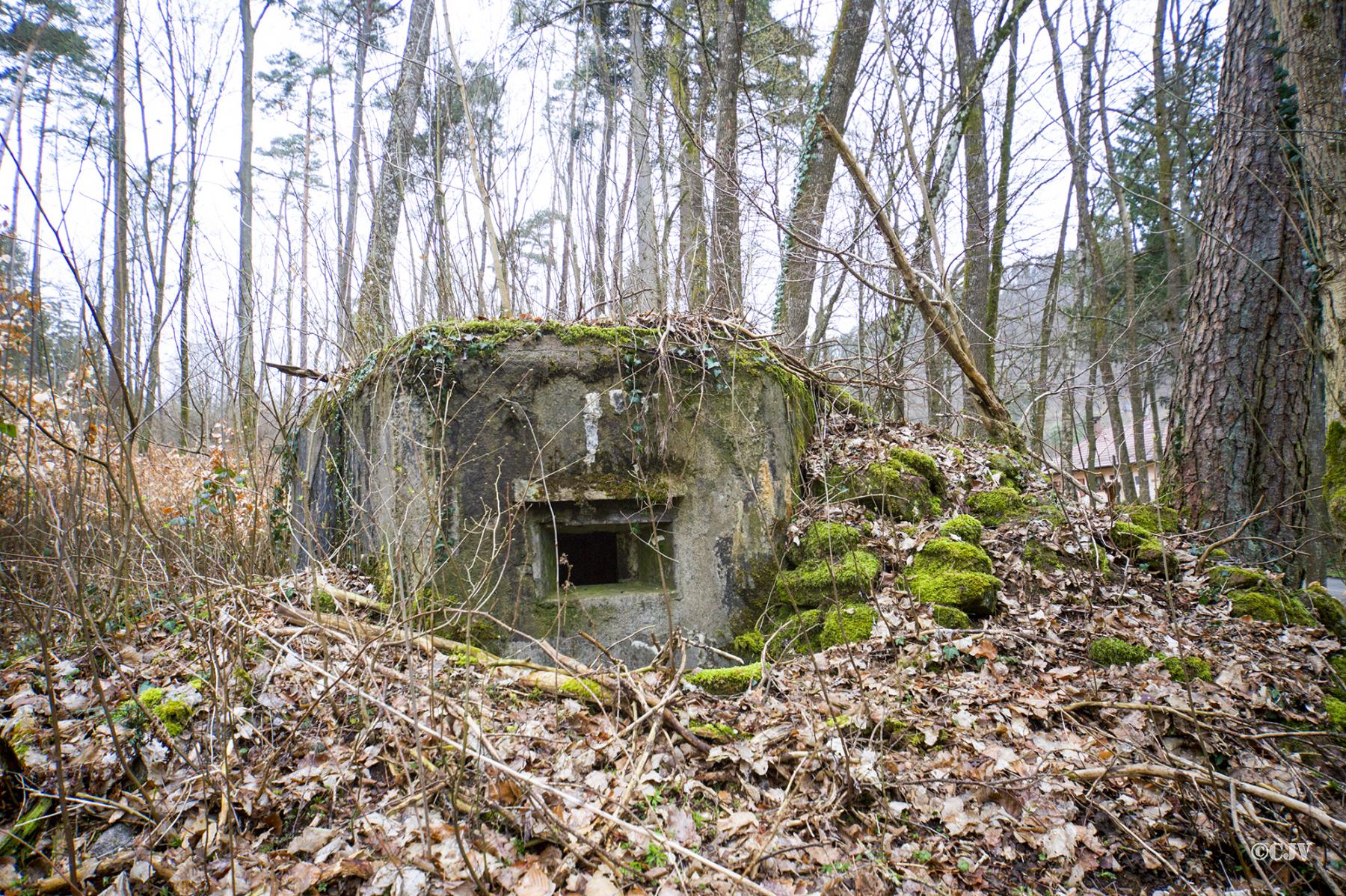 Ligne Maginot - M81 - FINSTERTHAL 3 - (Blockhaus pour arme infanterie) -  - Lia VERMEULEN