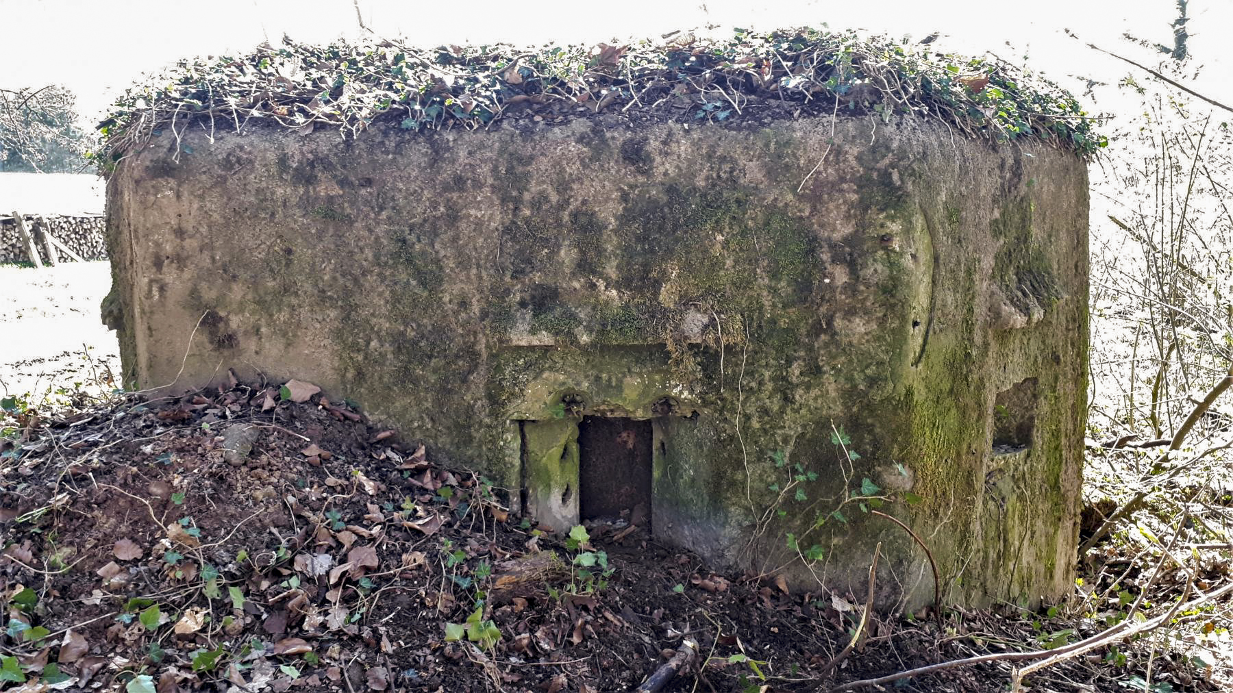Ligne Maginot - FM32 - NONNENHARDT MAISON FORESTIERE 1 - (Blockhaus pour arme infanterie) - Créneau latéral gauche - Gregory Fuchs