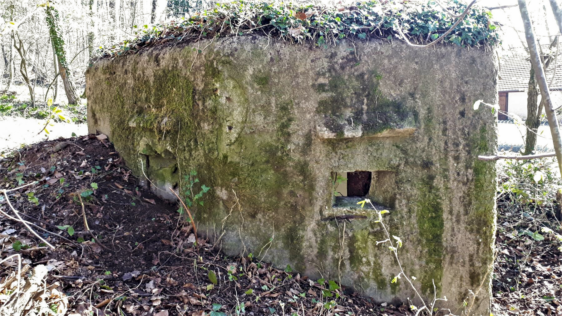 Ligne Maginot - FM32 - NONNENHARDT MAISON FORESTIERE 1 - (Blockhaus pour arme infanterie) - Créneau arrière gauche - Gregory Fuchs