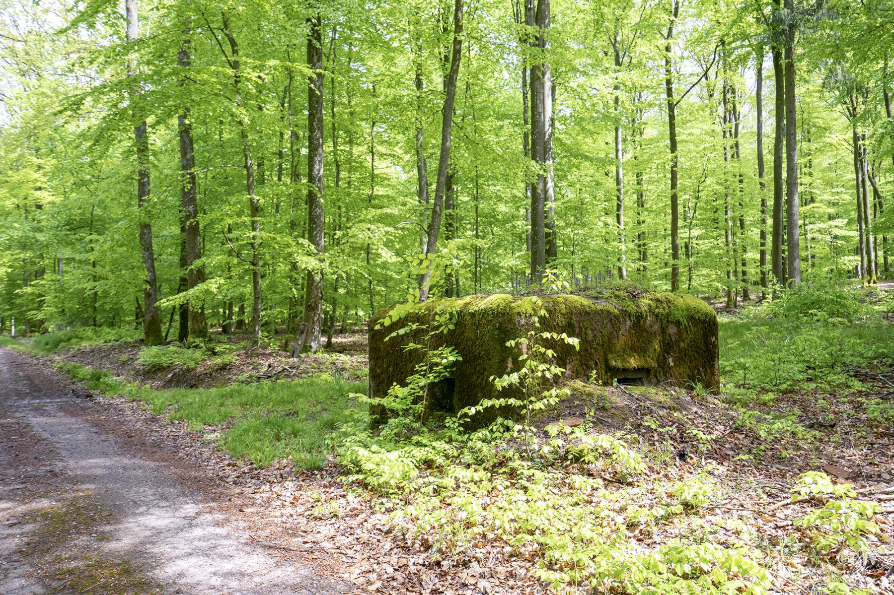 Ligne Maginot - FM31 - NONNENHARDT CENTRE 4 - (Blockhaus pour arme infanterie) - Créneau frontal et latéral gauche - Lia VERMEULEN