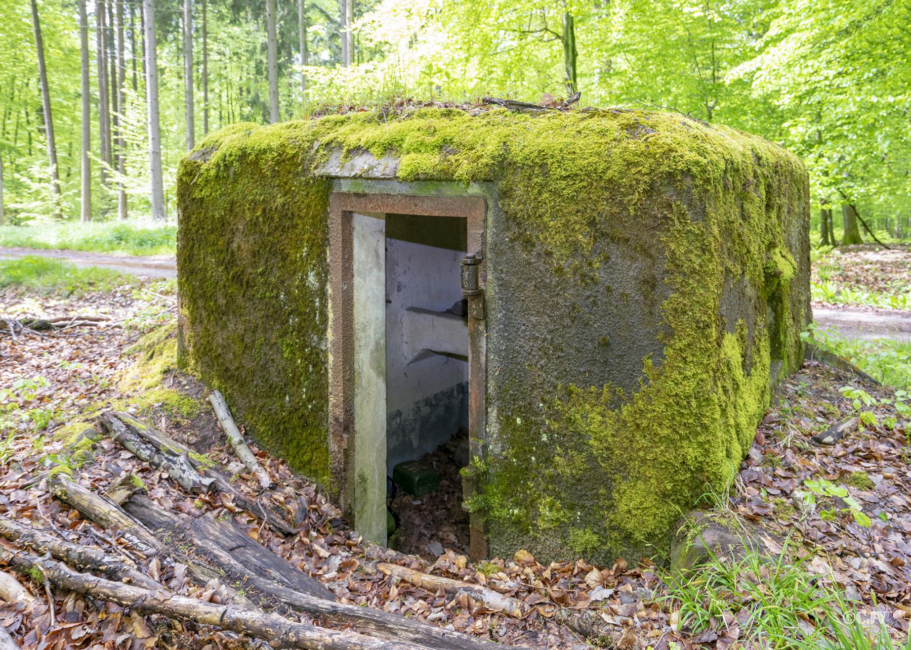 Ligne Maginot - FM31 - NONNENHARDT CENTRE 4 - (Blockhaus pour arme infanterie) - Entrée - Lia VERMEULEN