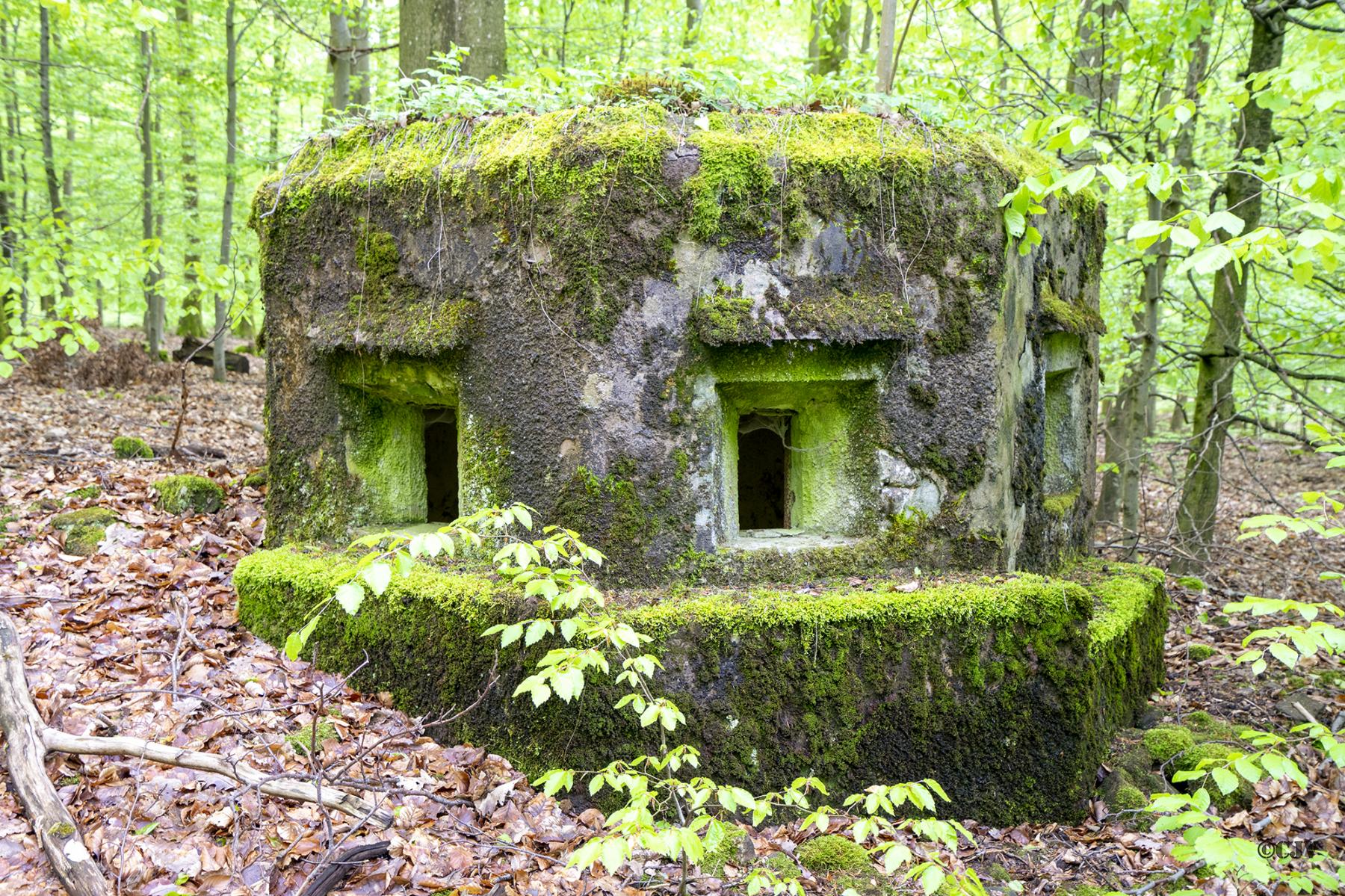 Ligne Maginot - FM33 - NONNENHARDT CENTRE 3 - (Blockhaus pour arme infanterie) - Vue frontal - Lia VERMEULEN