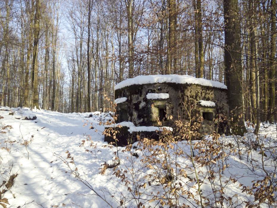 Ligne Maginot - FM33 - NONNENHARDT CENTRE 3 - (Blockhaus pour arme infanterie) - Vue coté gauche - donceuh