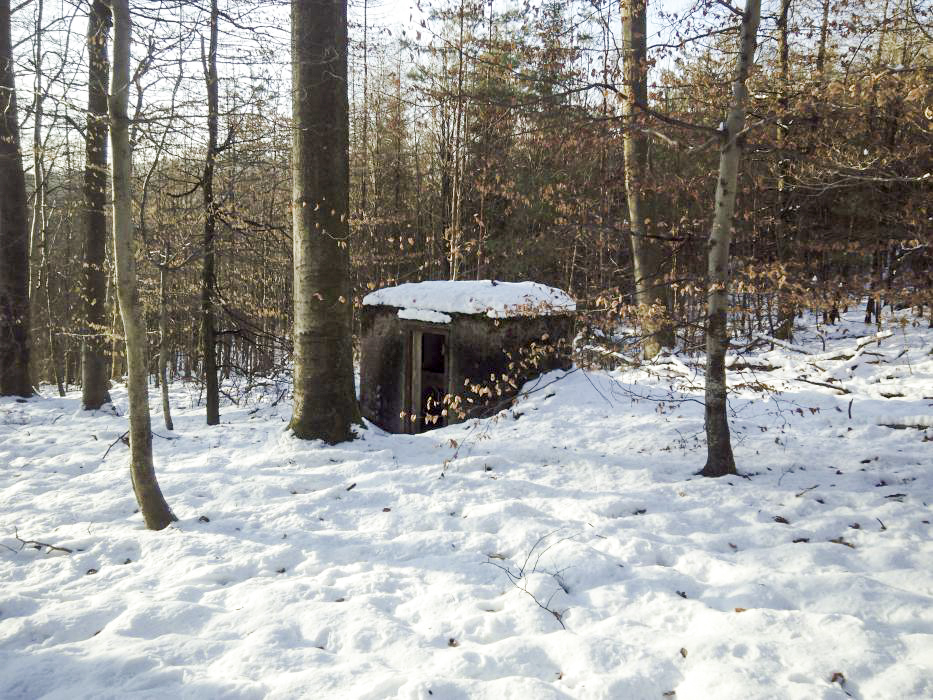 Ligne Maginot - FM33 - NONNENHARDT CENTRE 3 - (Blockhaus pour arme infanterie) - Vue vers l'entrée - donceuh