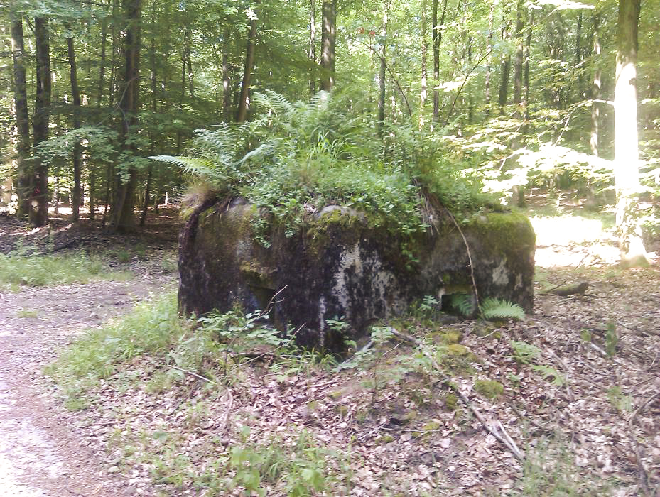 Ligne Maginot - FM31 - NONNENHARDT CENTRE 4 - (Blockhaus pour arme infanterie) - Créneau frontal et latéral gauche - donceuh