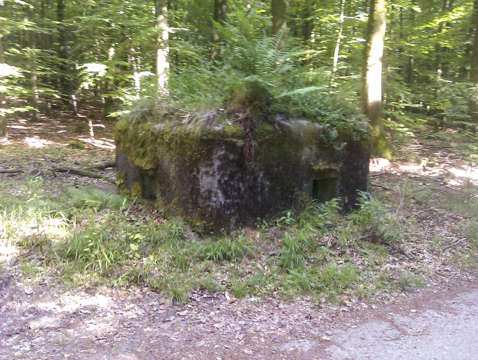 Ligne Maginot - FM31 - NONNENHARDT CENTRE 4 - (Blockhaus pour arme infanterie) - Créneau frontal et latéral droit - donceuh