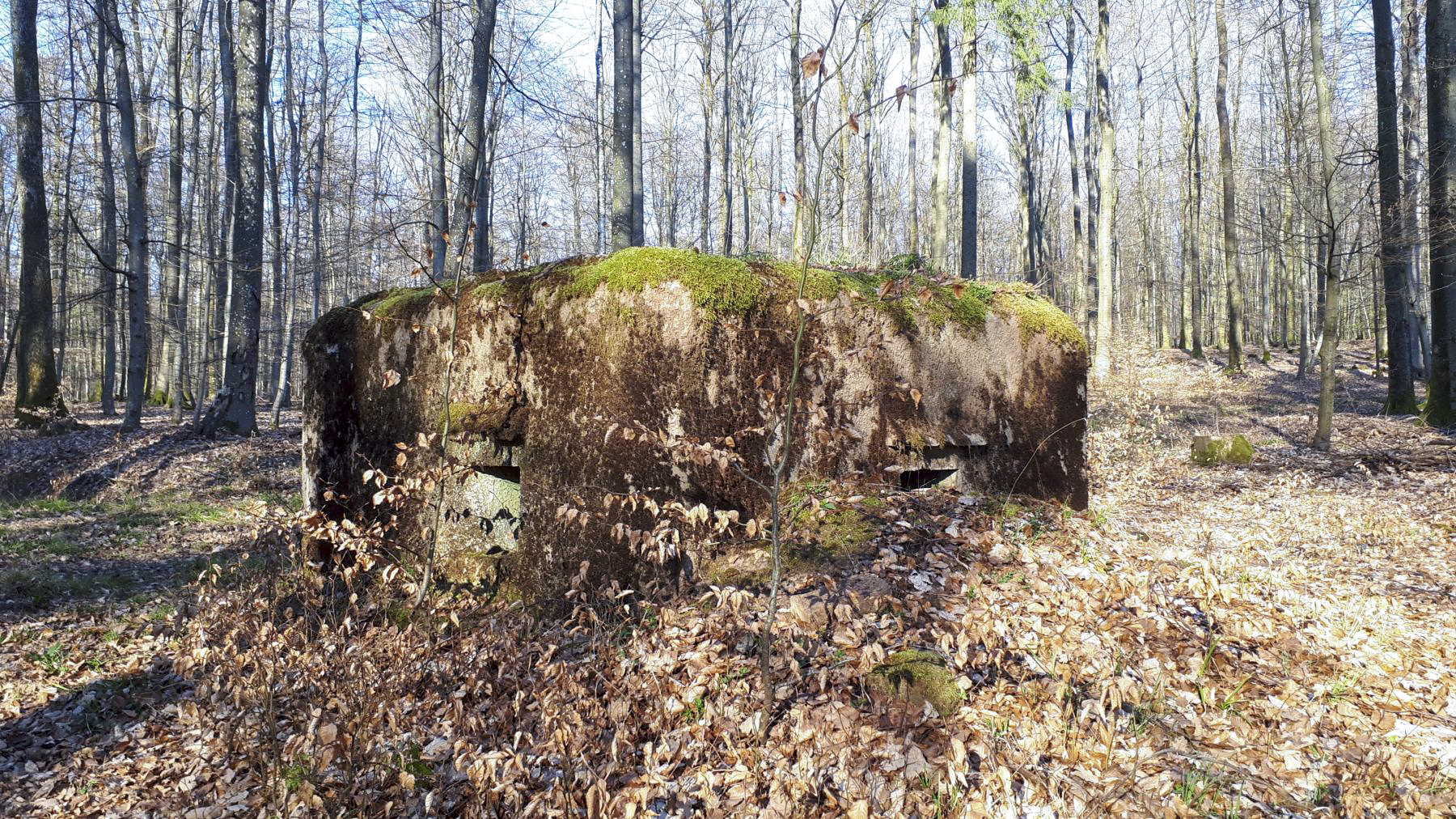 Ligne Maginot - FM31 - NONNENHARDT CENTRE 4 - (Blockhaus pour arme infanterie) - Créneau frontal et latéral gauche - Gregory Fuchs