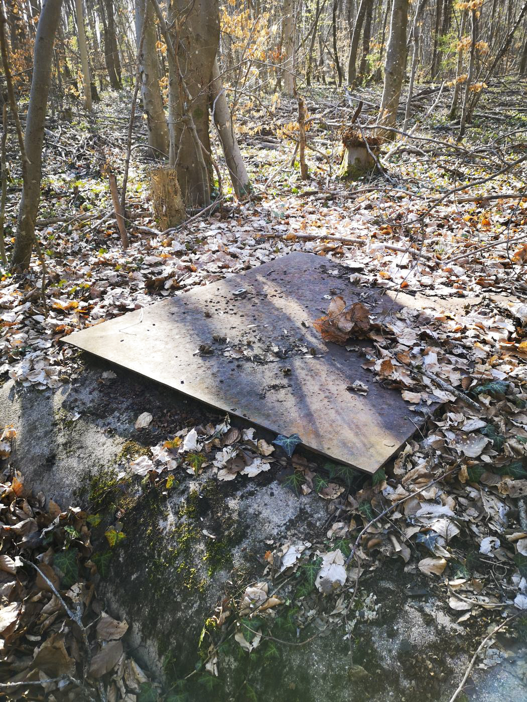 Ligne Maginot - 12T - (Chambre de coupure) - Trappe de la chambre de coupure - DK_Antoine4