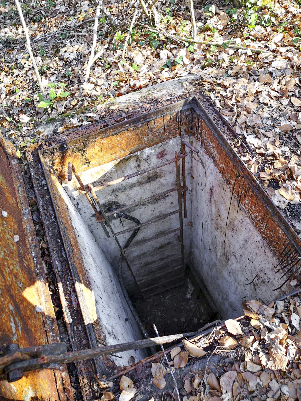 Ligne Maginot - 12T - (Chambre de coupure) - Puits d'accès et échelle - DK_Antoine4