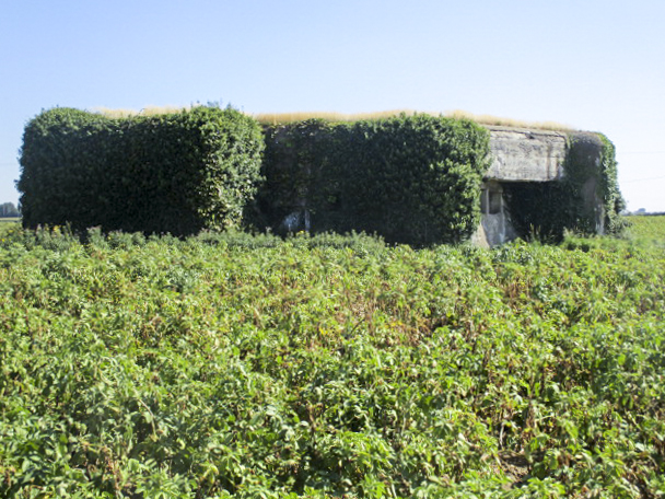 Ligne Maginot - A2 - HONDSCHOOTE - (Blockhaus lourd type STG / STG-FCR - Double) -  - Smardz Félix