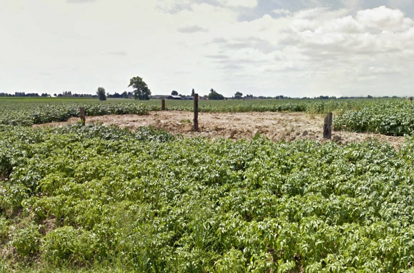 Ligne Maginot - A3TER - CAPPEL HOUCK NORD - (Blockhaus lourd type STG / STG-FCR - Double) -  - Google Streetview