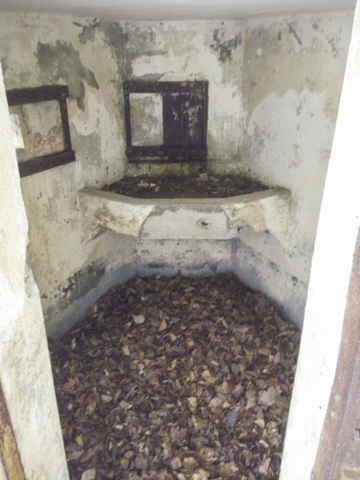 Ligne Maginot - FM45 - NONNENHARDT CENTRE 2 - (Blockhaus pour arme infanterie) - Créneau frontal avec tablette de tir pour FM - donceuh