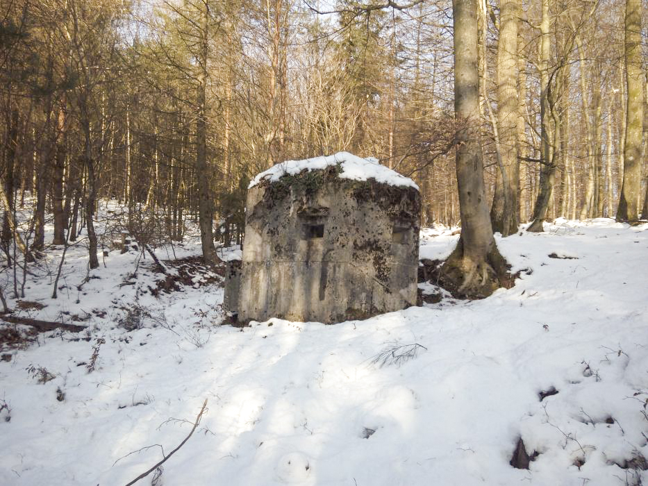 Ligne Maginot - FM45 - NONNENHARDT CENTRE 2 - (Blockhaus pour arme infanterie) - Vue coté gauche - donceuh