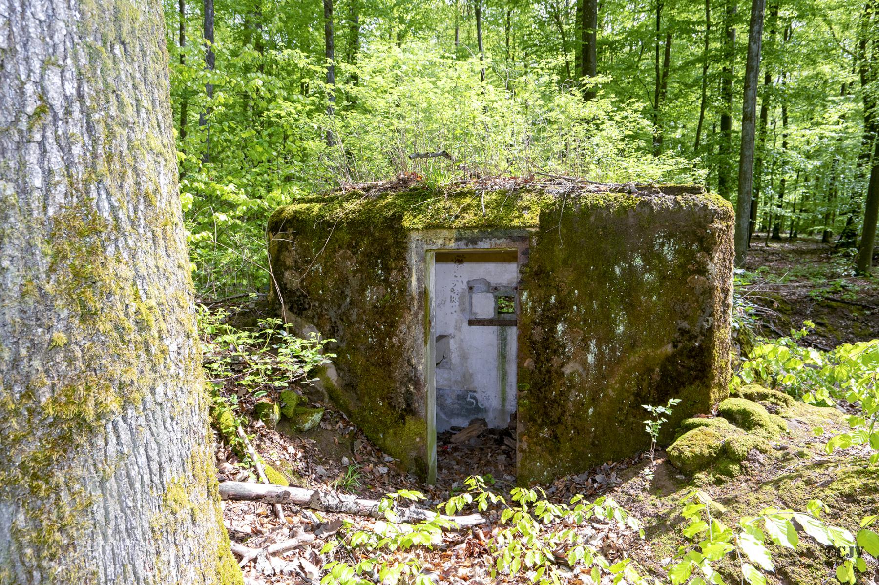 Ligne Maginot - FM46 - NONNENHARDT CENTRE 5 - (Blockhaus pour arme infanterie) - Entrée - Lia VERMEULEN
