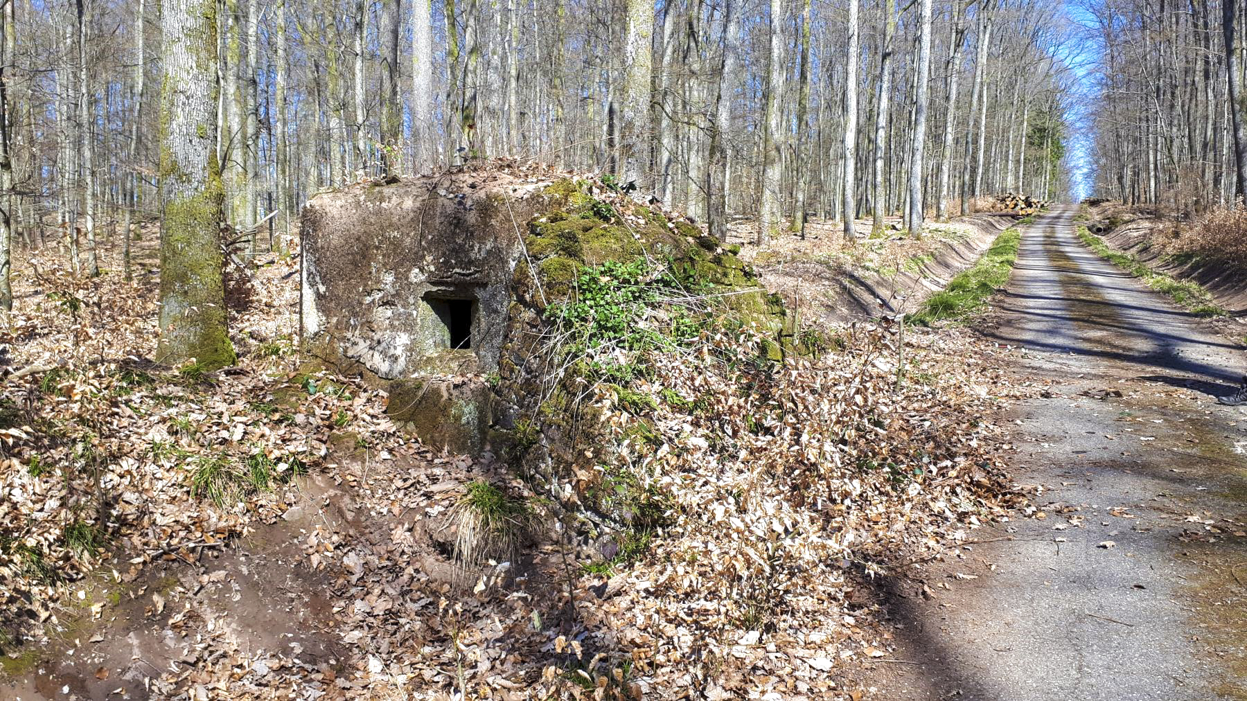 Ligne Maginot - FM46 - NONNENHARDT CENTRE 5 - (Blockhaus pour arme infanterie) - Le créneau latéral droit, prenant le chemin forestier en enfilade - Gregory Fuchs
