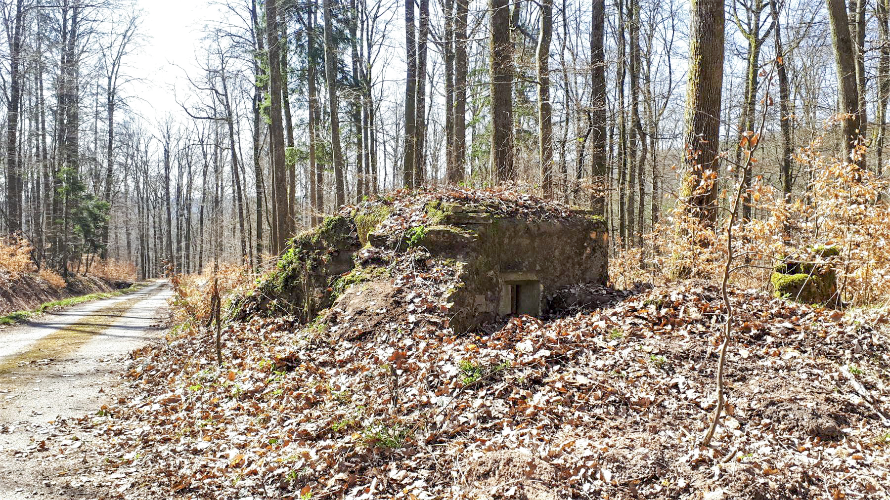 Ligne Maginot - FM46 - NONNENHARDT CENTRE 5 - (Blockhaus pour arme infanterie) - Le créneau latéral gauche, prenant le chemin forestier en enfilade - Gregory Fuchs