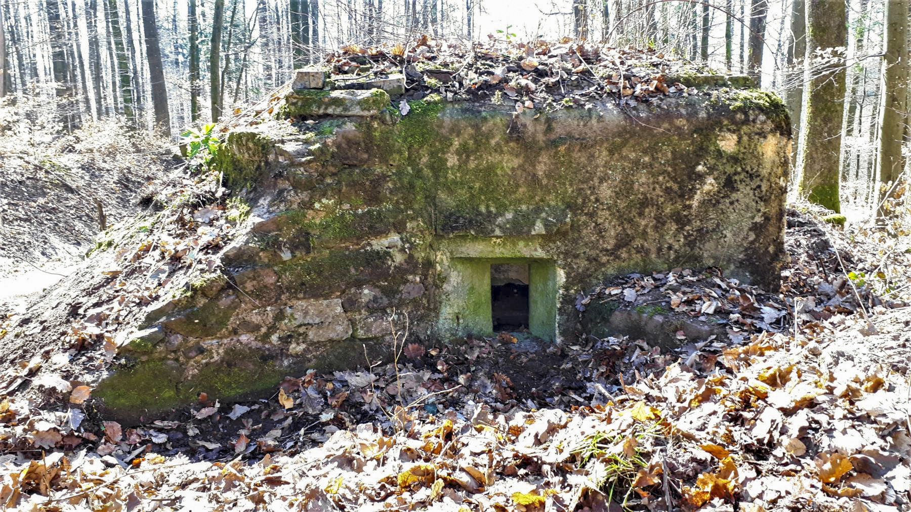 Ligne Maginot - FM46 - NONNENHARDT CENTRE 5 - (Blockhaus pour arme infanterie) - Créneau latéral gauche - Gregory Fuchs
