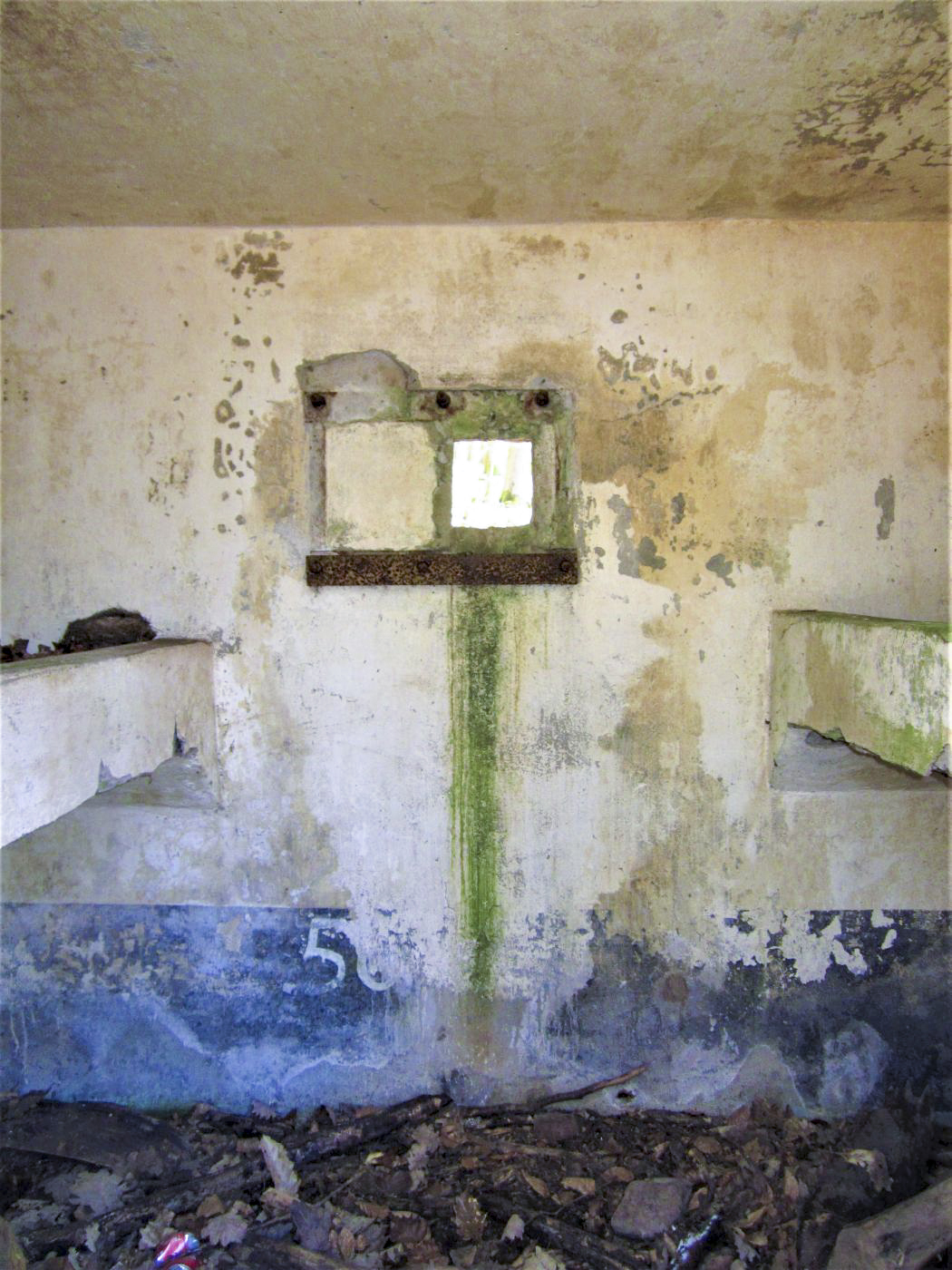 Ligne Maginot - FM46 - NONNENHARDT CENTRE 5 - (Blockhaus pour arme infanterie) - Créneau frontal et marquage n°56 - Gregory Fuchs