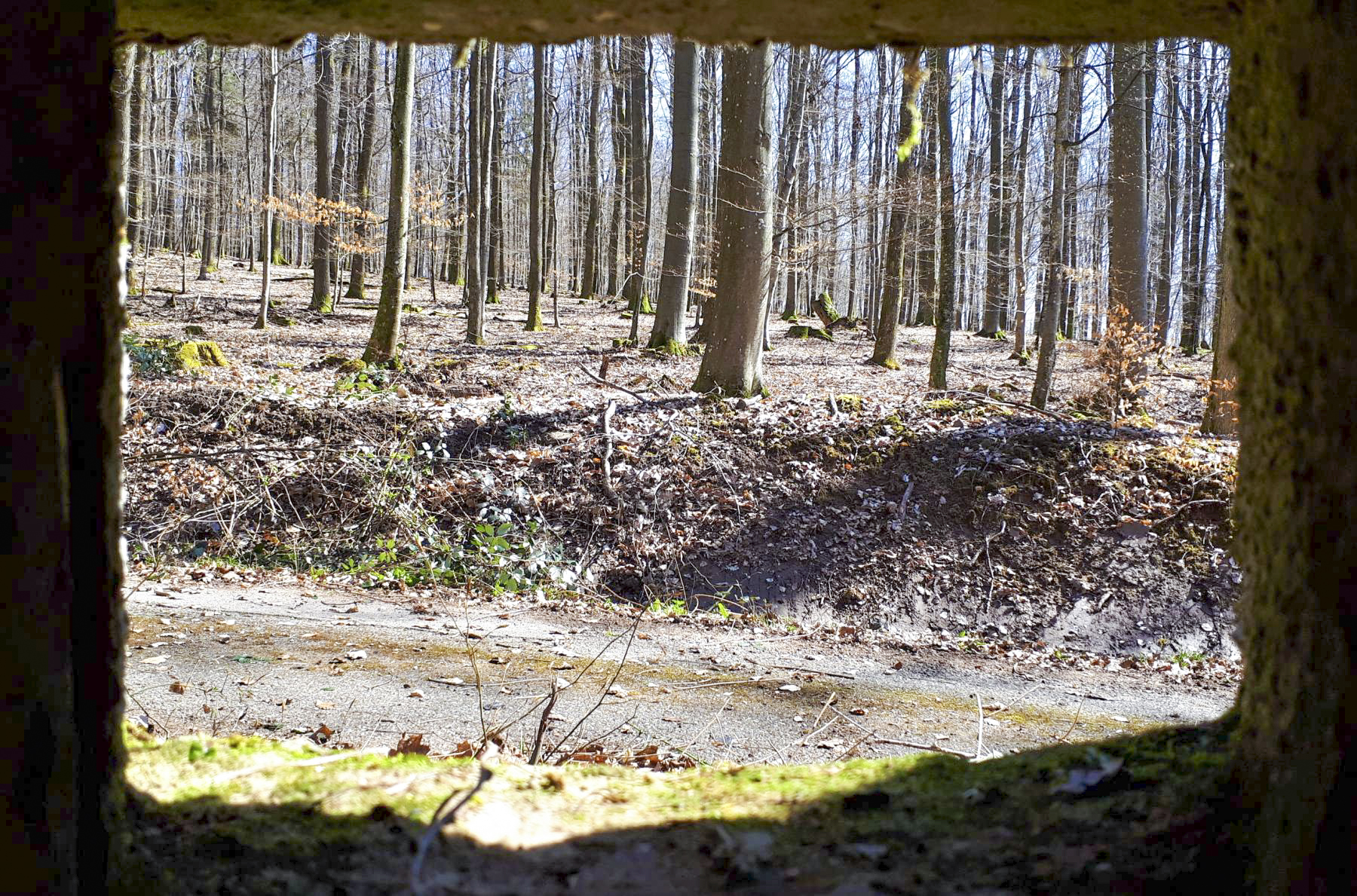 Ligne Maginot - FM46 - NONNENHARDT CENTRE 5 - (Blockhaus pour arme infanterie) - Vue depuis le créneau frontal - Gregory Fuchs