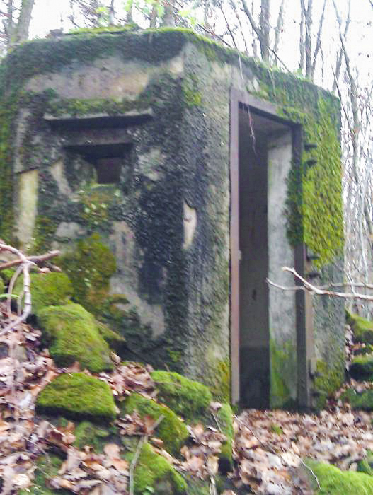 Ligne Maginot - FM49 - WEIBERSLOCH - (Blockhaus pour arme infanterie) - Créneau arrière gauche - donceuh