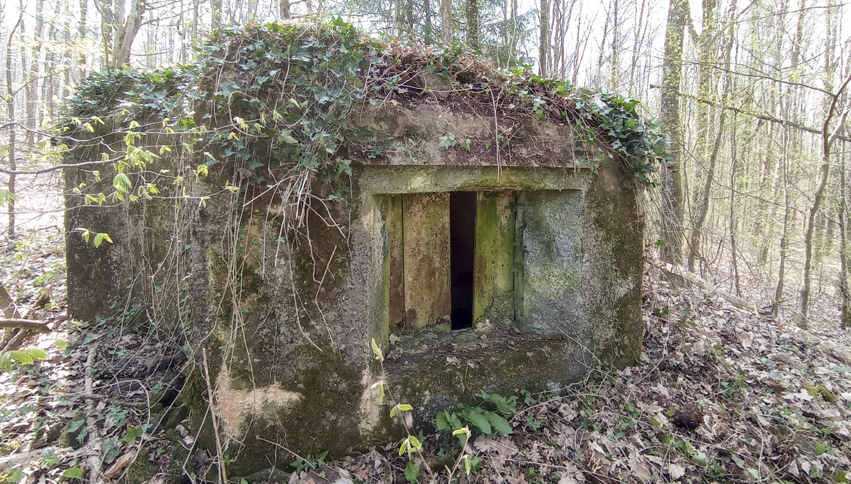 Ligne Maginot - C8 - NONNENHARDT MAISON FORESTIERE 2 - (Blockhaus pour canon) - Façade frontal avec créneau antichar - Baptiste GAUDIN