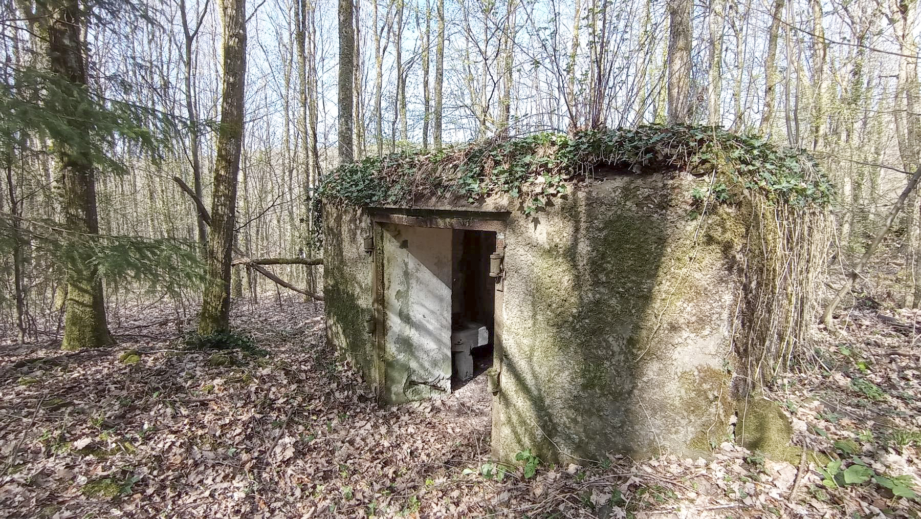 Ligne Maginot - C8 - NONNENHARDT MAISON FORESTIERE 2 - (Blockhaus pour canon) - L'entrée - Baptiste GAUDIN