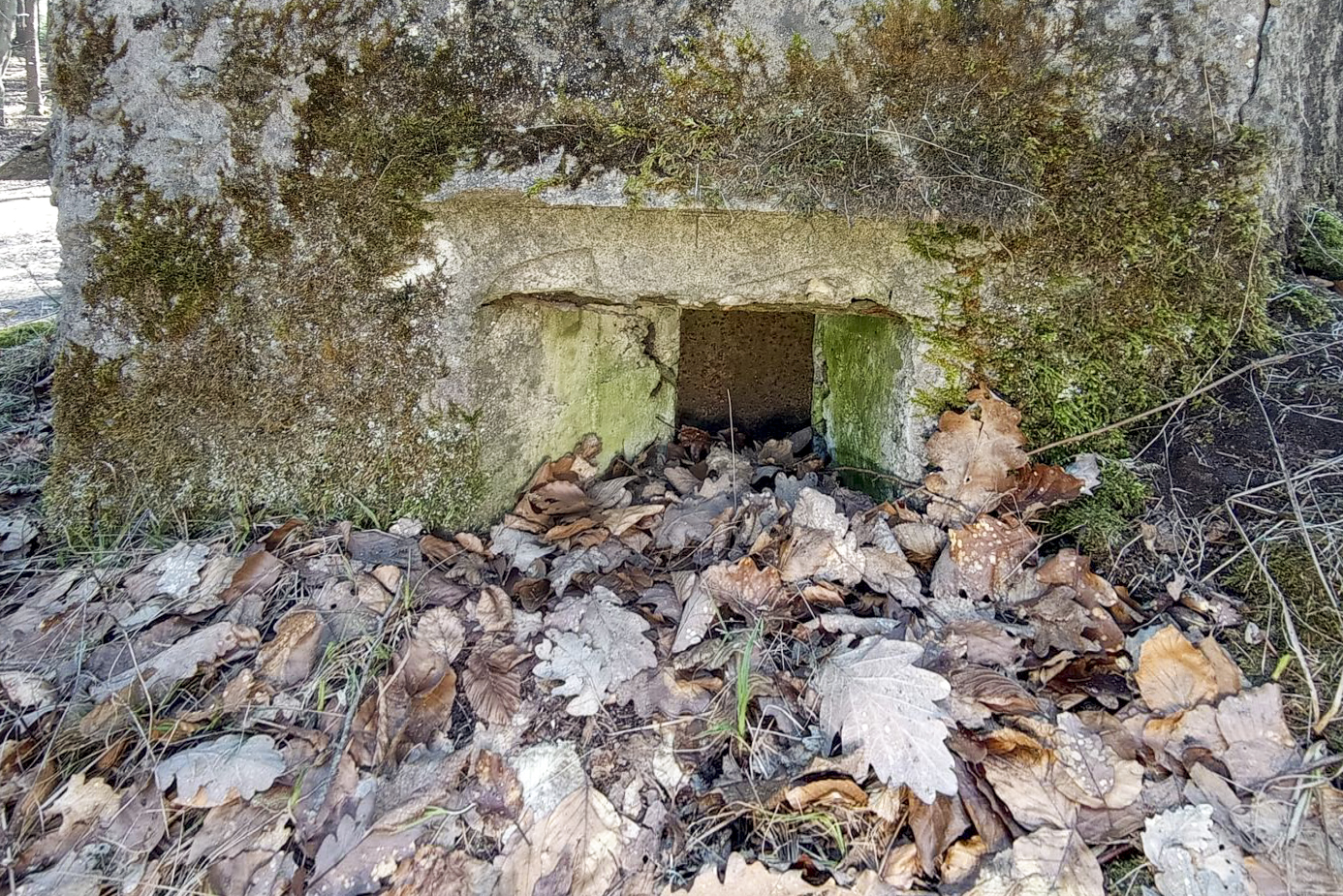 Ligne Maginot - FM38 - DIEBSKOPF 2 - (Blockhaus pour arme infanterie) - Détail du créneau latéral gauche - Baptiste GAUDIN
