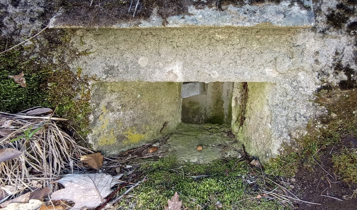 Ligne Maginot - FM38 - DIEBSKOPF 2 - (Blockhaus pour arme infanterie) - Détail du créneau arrière gauche  - Baptiste GAUDIN