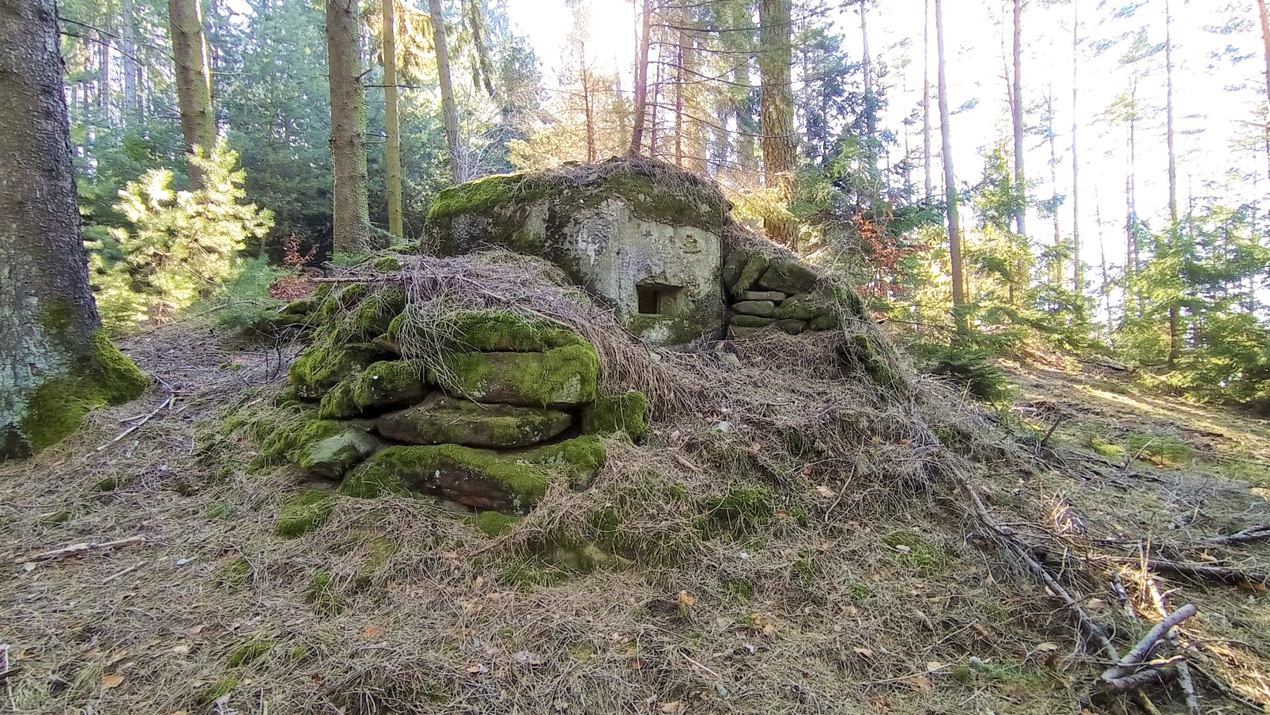 Ligne Maginot - FM40 - BETZENTHAL 3 - (Blockhaus pour arme infanterie) - façade avant - Baptiste GAUDIN