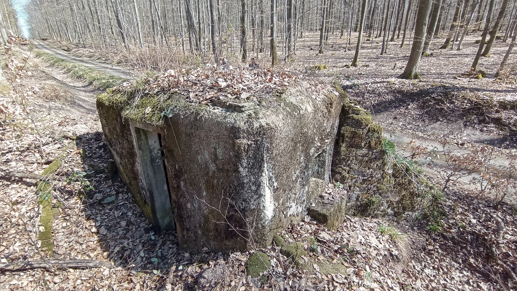 Ligne Maginot - FM46 - NONNENHARDT CENTRE 5 - (Blockhaus pour arme infanterie) - Le blockhaus bordant un chemin forestier - Baptiste GAUDIN