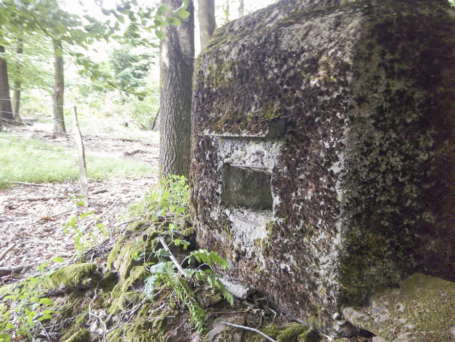 Ligne Maginot - FM68 - VERRERIE 1 - (Blockhaus pour arme infanterie) -  - donceuh