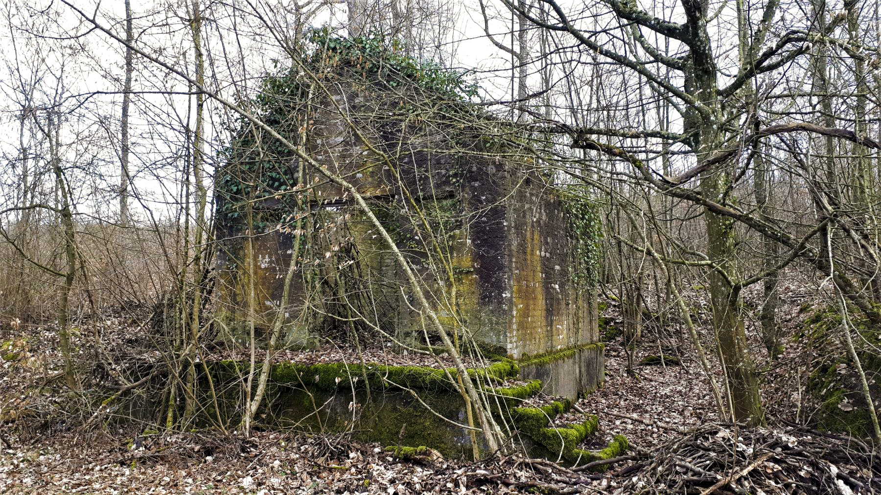 Ligne Maginot - FROESCHWILLER - (Dépôt de Munitions) - Bâtiment de stockage des munitions - Gregory Fuchs