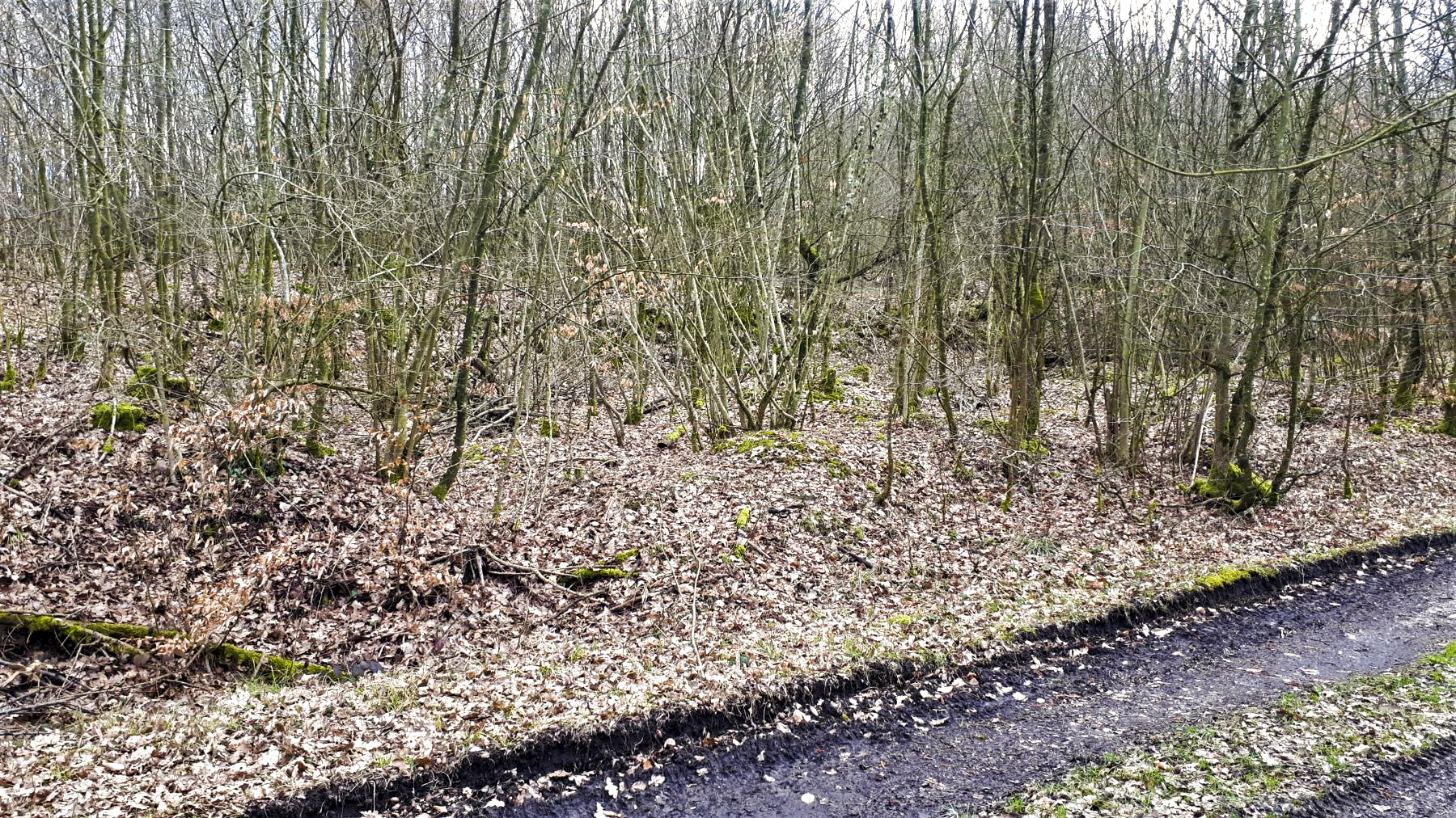 Ligne Maginot - FROESCHWILLER - (Dépôt de Munitions) - Alvéole de stockage au centre du dépôt - Gregory Fuchs