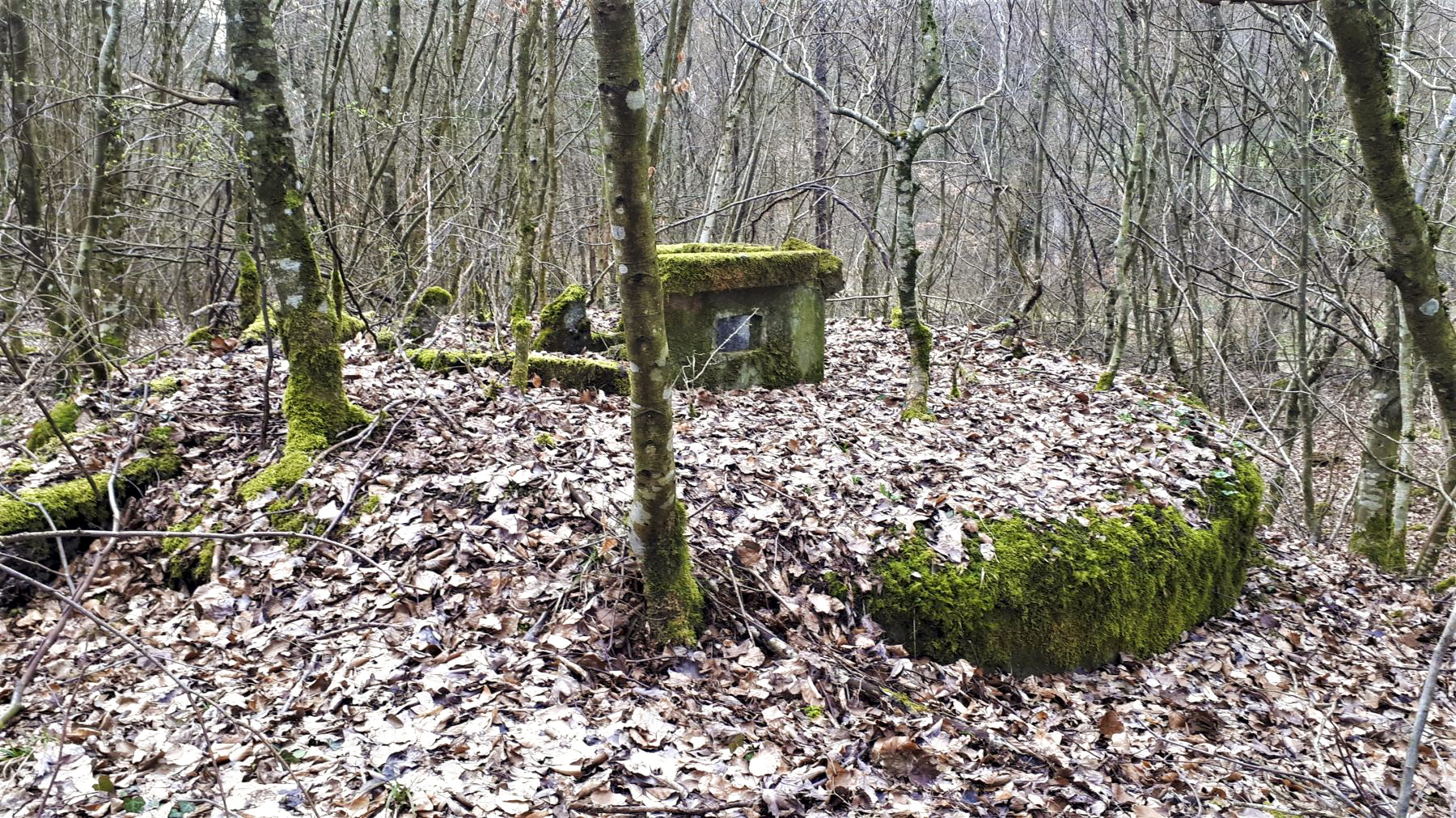 Ligne Maginot - FROESCHWILLER - (Dépôt de Munitions) - Réservoir d'eau potable - Gregory Fuchs