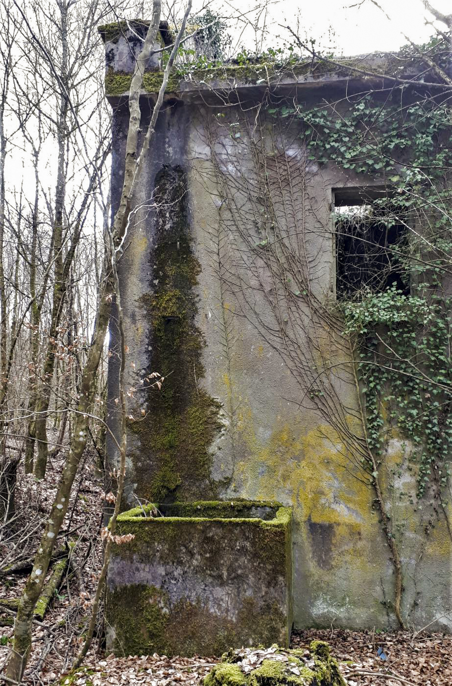 Ligne Maginot - FROESCHWILLER - (Dépôt de Munitions) - Récupérateur d'eau de pluie - Gregory Fuchs